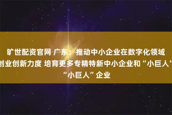 旷世配资官网 广东：推动中小企业在数字化领域加大创业创新力度 培育更多专精特新中小企业和“小巨人”企业