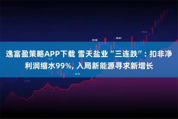 逸富盈策略APP下载 雪天盐业“三连跌”: 扣非净利润缩水99%, 入局新能源寻求新增长